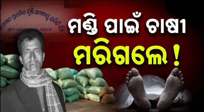 କେନ୍ଦ୍ରାପଡ଼ାରେ ଚାଷୀ ମୃତ୍ୟୁ