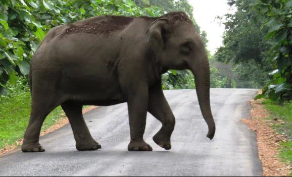 Odisha Top News 18 April 2026 breaking news update